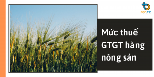 Mức thuế GTGT hàng nông sản - Luật Doanh Nghiệp Bảo Tín - Công Ty TNHH Dịch Vụ Doanh Nghiệp Bảo Tín